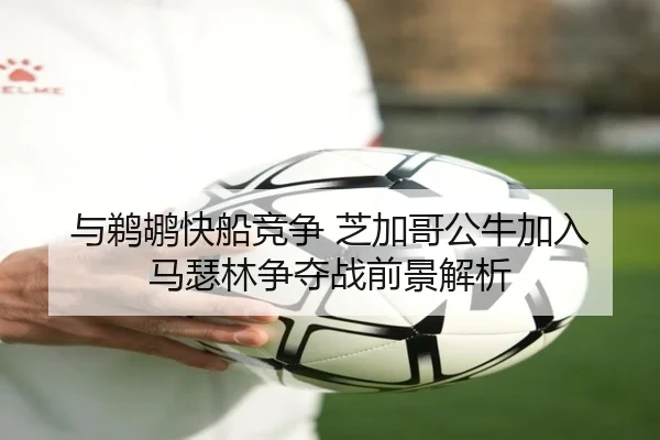 与鹈鹕快船竞争 芝加哥公牛加入马瑟林争夺战前景解析